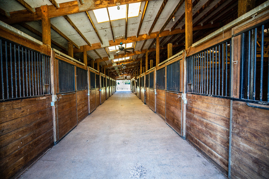 Image for 4 BR/5.5 BA Manor Home on 72.6 +/- Acres w/Several Multi-Purpose Buildings in Culpeper, VA Only Minutes from Rt. 29!