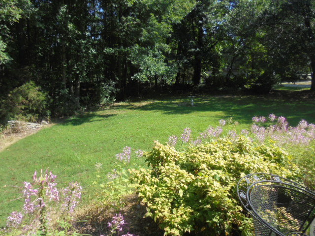 Image for CLOSED~REAL ESTATE AUCTION