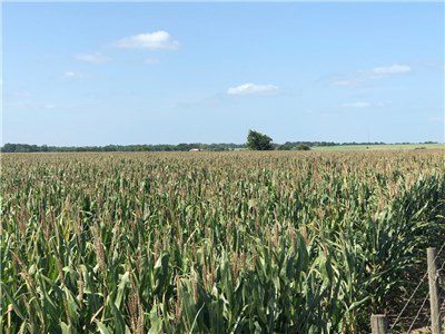 Image for 00 County Road 430 - Dime Box 77853, Lee County