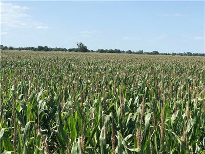 Image for 00 County Road 430 - Dime Box 77853, Lee County