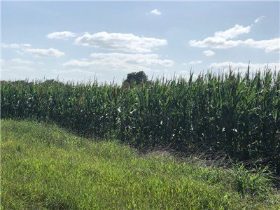 Image for 00 County Road 430 - Dime Box 77853, Lee County