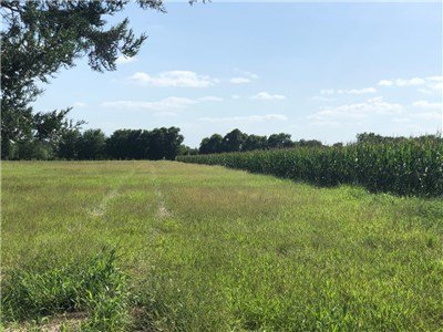 Image for 00 County Road 430 - Dime Box 77853, Lee County