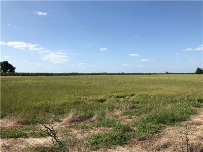 Image for 00 County Road 430 - Dime Box 77853, Lee County