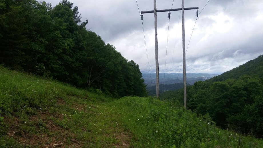 Image for Premier Land Auction - 82 ± Acres in Avery County, NC