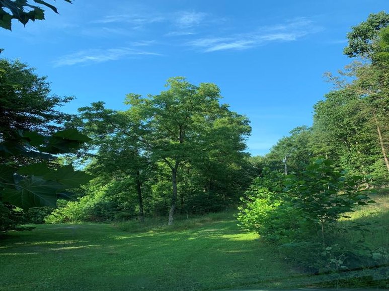 Image for Land Auction!  Online Only Reserve Auction of 11.07 Acres!