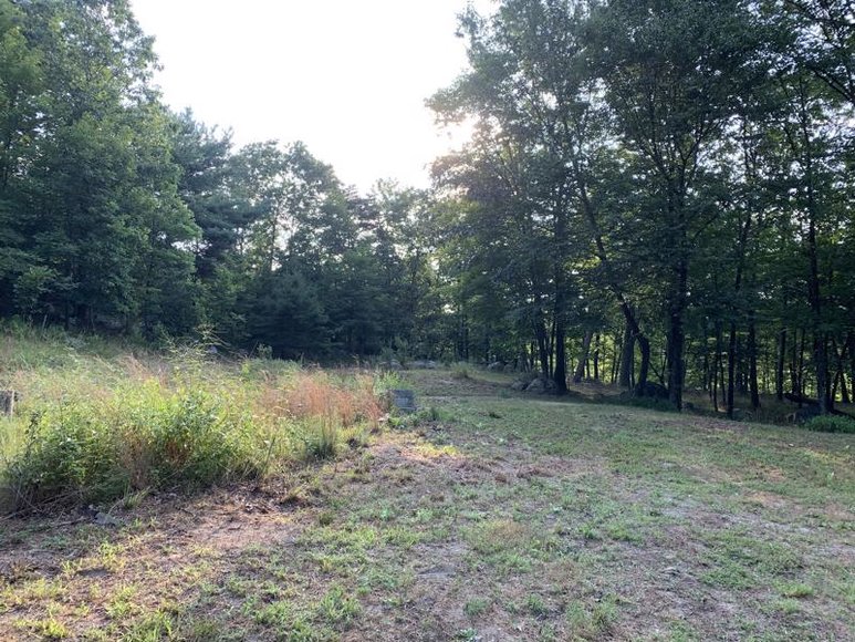 Land Auction! Online Only Reserve Auction of 20.00 Acres!