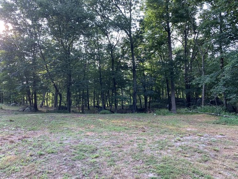 Land Auction! Online Only Reserve Auction of 20.00 Acres!