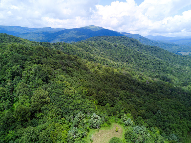 Image for Premier Land Auction - 82 ± Acres in Avery County, NC