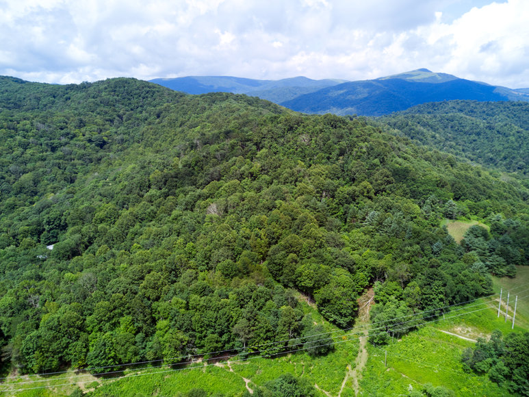 Image for Premier Land Auction - 82 ± Acres in Avery County, NC