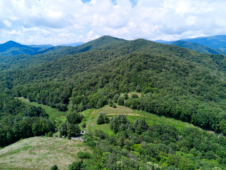 Image for Premier Land Auction - 82 ± Acres in Avery County, NC