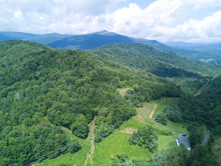 Image for Premier Land Auction - 82 ± Acres in Avery County, NC