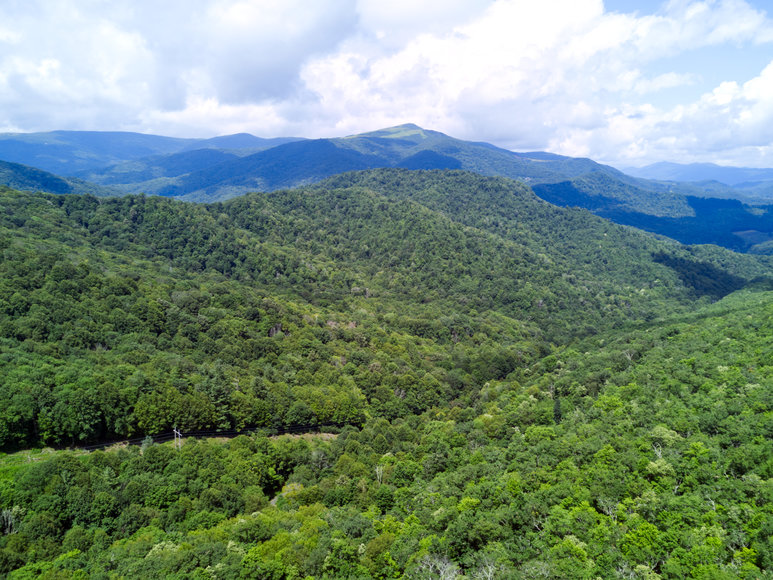 Image for Premier Land Auction - 82 ± Acres in Avery County, NC
