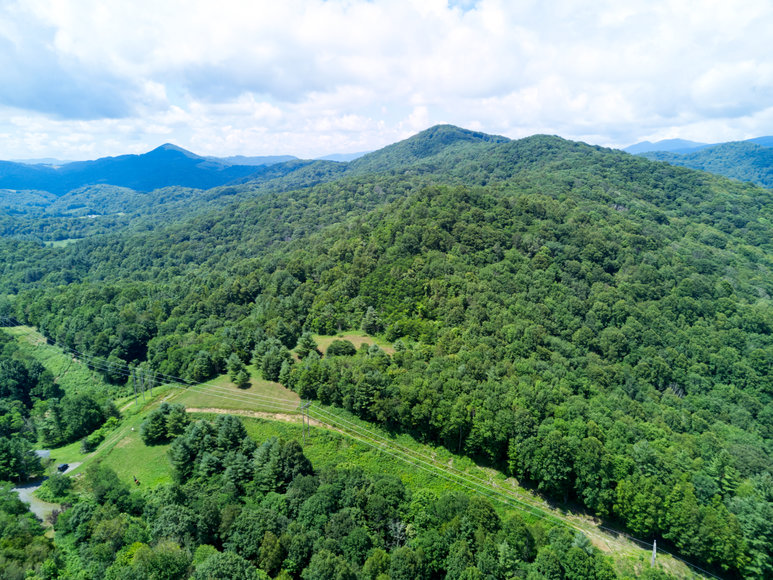 Image for Premier Land Auction - 82 ± Acres in Avery County, NC