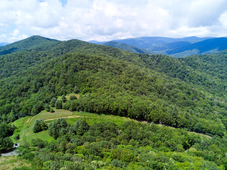 Image for Premier Land Auction - 82 ± Acres in Avery County, NC