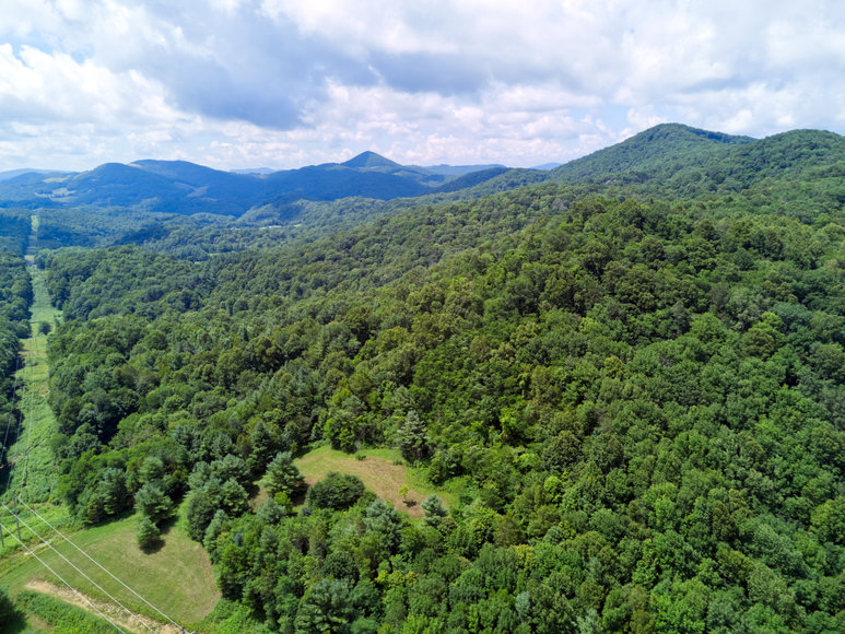 Image for Premier Land Auction - 82 ± Acres in Avery County, NC
