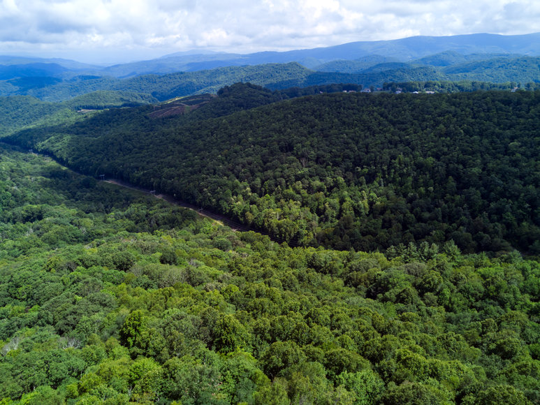 Image for Premier Land Auction - 82 ± Acres in Avery County, NC