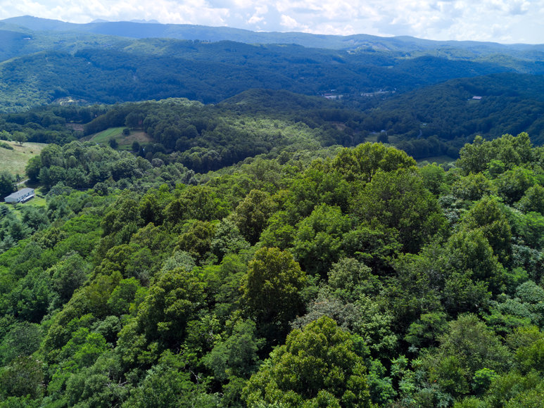 Image for Premier Land Auction - 82 ± Acres in Avery County, NC