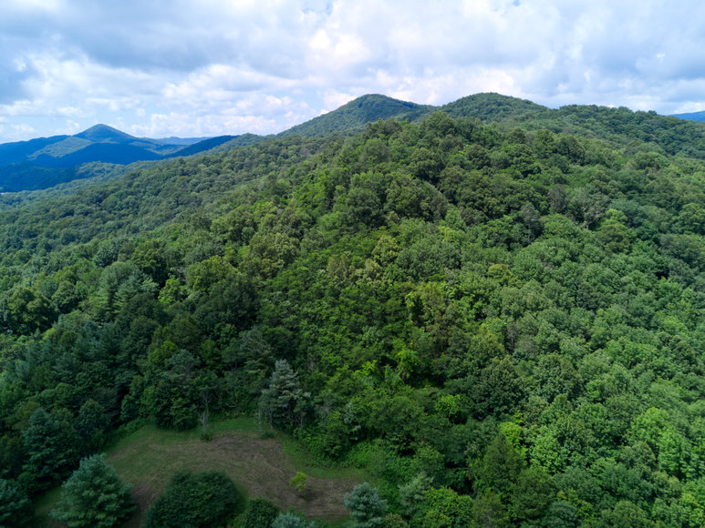 Image for Premier Land Auction - 82 ± Acres in Avery County, NC