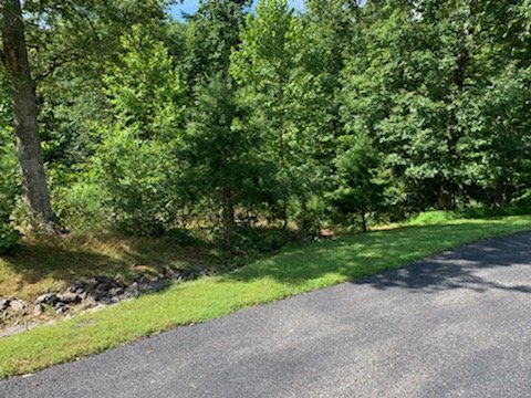 Image for Online Only Auction!  1.02 Acres of Land!  Fairview Oaks Berkeley Springs WV!