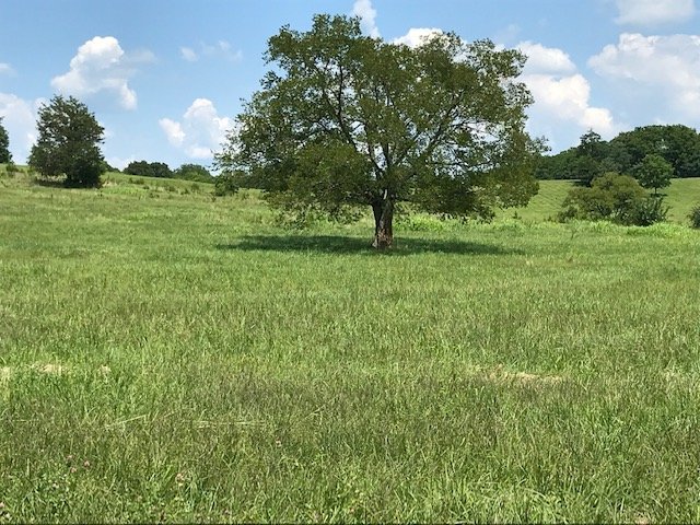 Image for 9717 Short Creek Road, Christiana