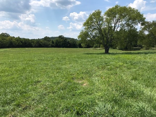 Image for 9717 Short Creek Road, Christiana