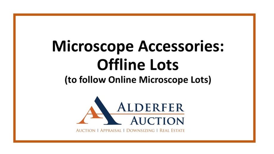 Image for Gallery Auction with Dolls: 8-8-19