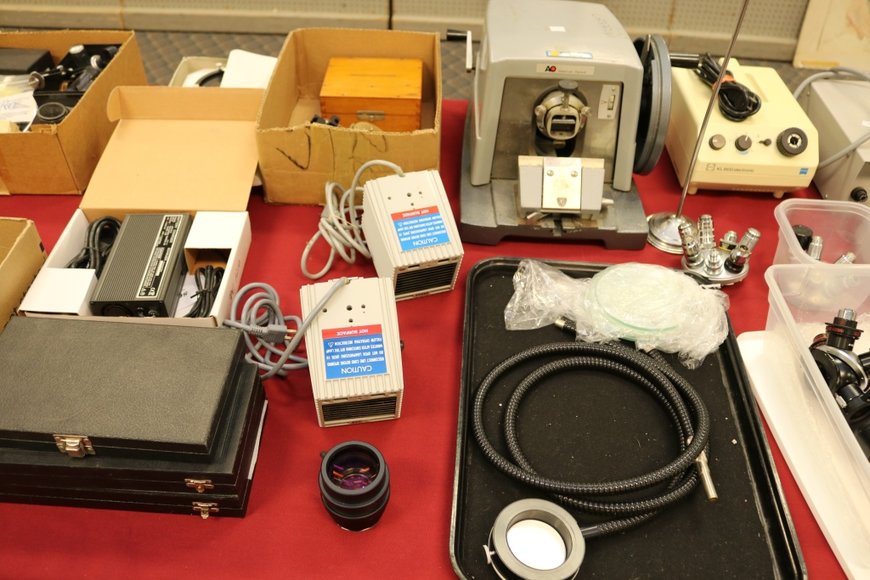 Image for Gallery Auction with Dolls: 8-8-19