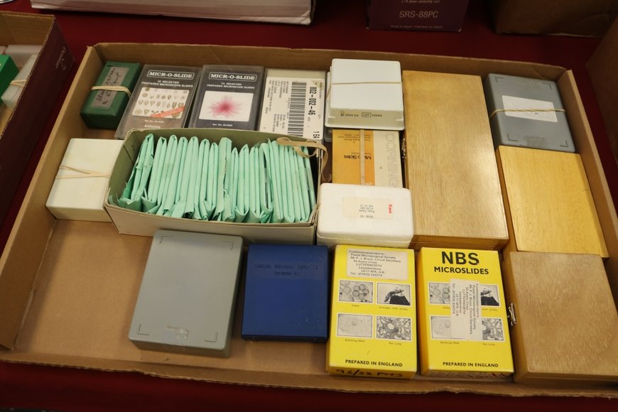 Image for Gallery Auction with Dolls: 8-8-19