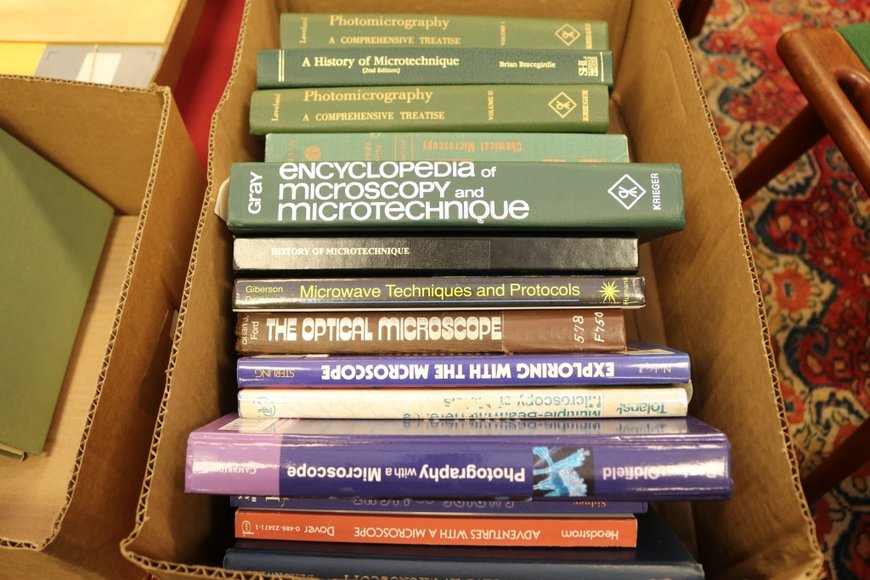 Image for Gallery Auction with Dolls: 8-8-19