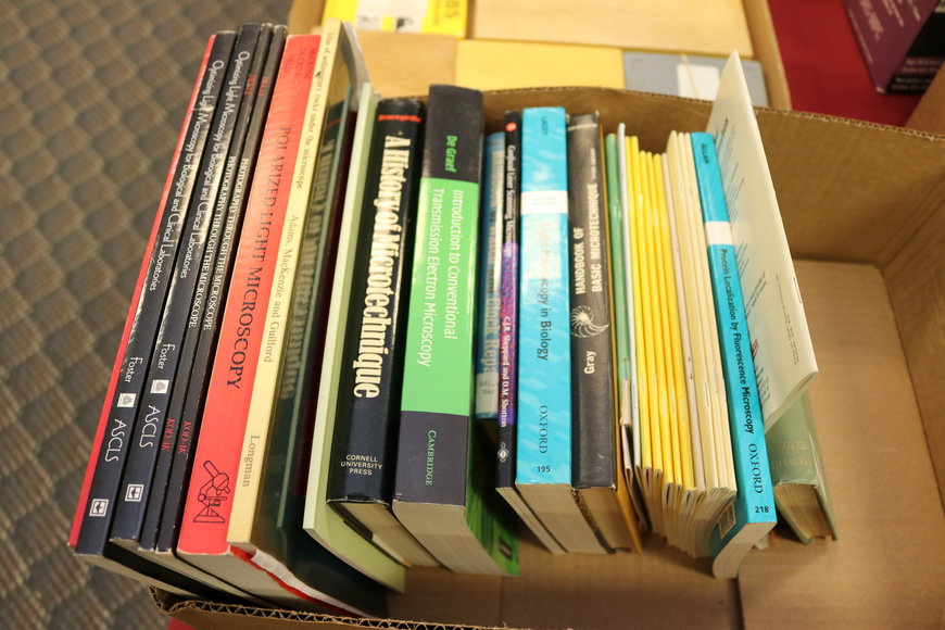 Image for Gallery Auction with Dolls: 8-8-19