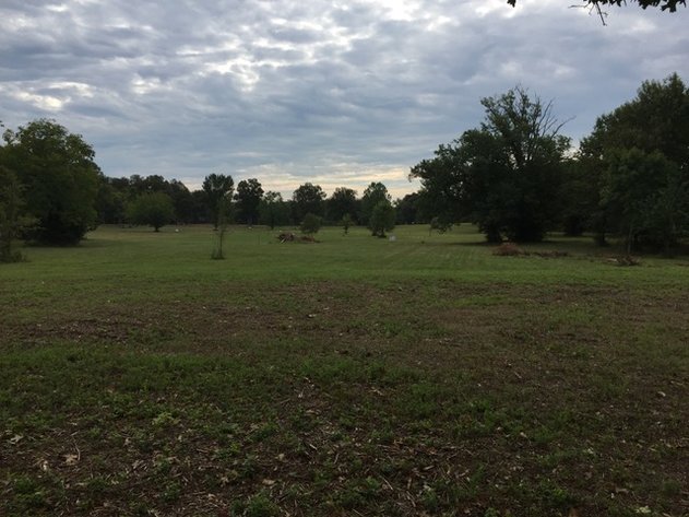 Image for 11417 New Zion Road, Christiana