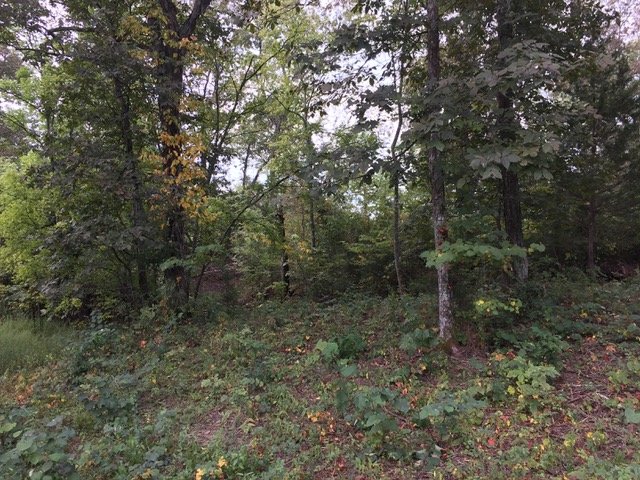 Image for 11417 New Zion Road, Christiana