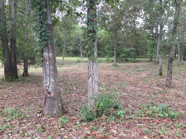 Image for 11417 New Zion Road, Christiana