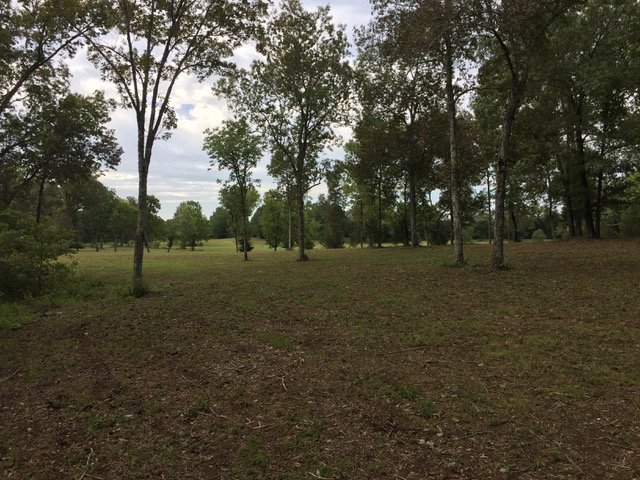 Image for 11417 New Zion Road, Christiana