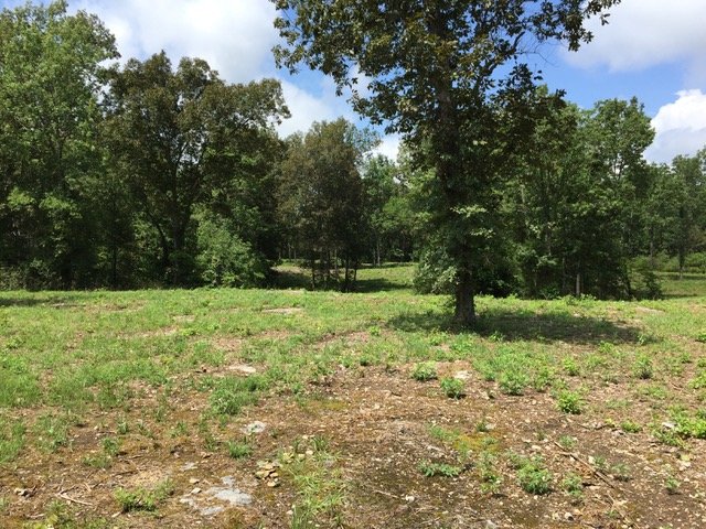 Image for 11417 New Zion Road, Christiana