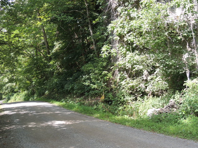 Image for 1.5 Acres on Bales Road in Pearisburg, VA