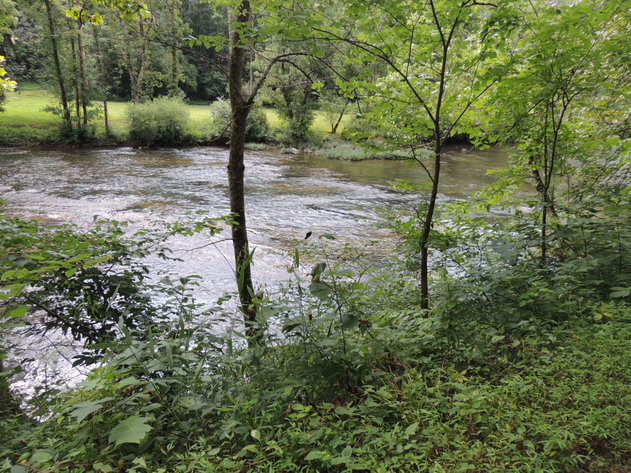 Image for 1.5 Acres on Bales Road in Pearisburg, VA