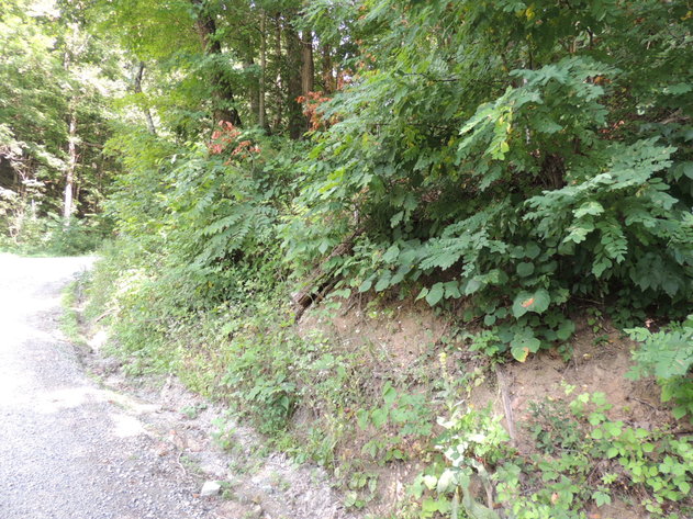 Image for 0.39 Acres on Hendrickson Road, Pembroke, VA