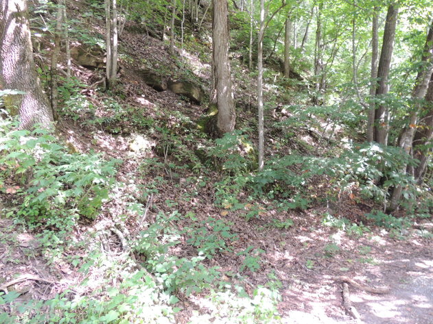 Image for 0.39 Acres on Hendrickson Road, Pembroke, VA