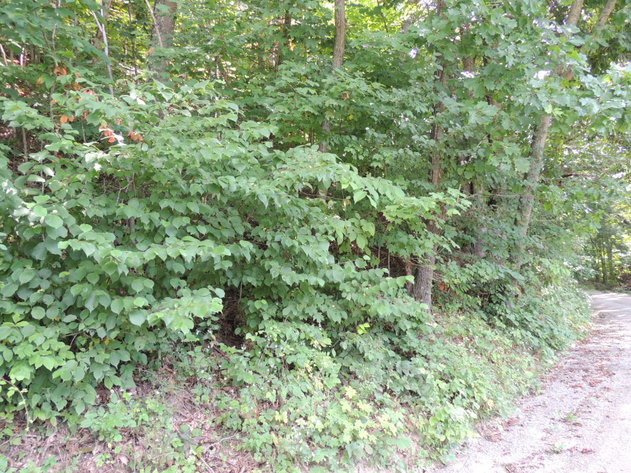 Image for 0.39 Acres on Hendrickson Road, Pembroke, VA