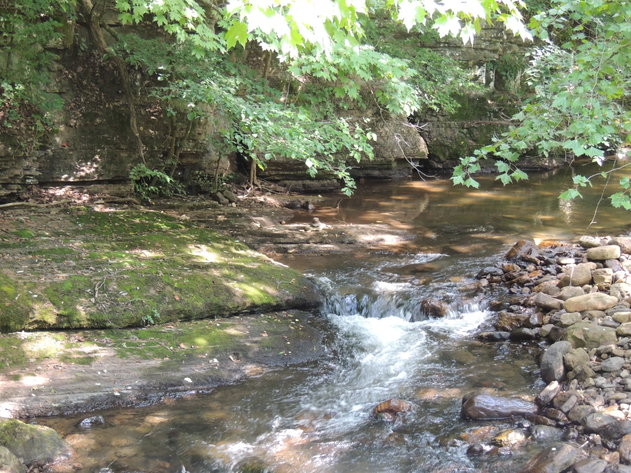 Image for 0.39 Acres on Hendrickson Road, Pembroke, VA