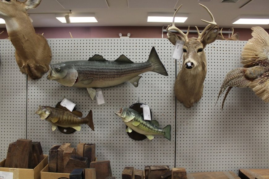 Image for Firearms Auction - Offline Lots: 8-13-19