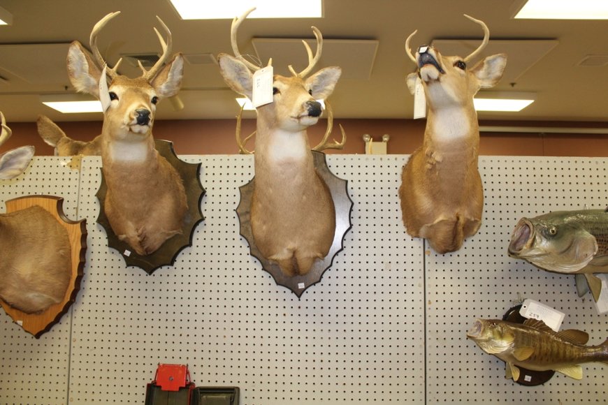 Image for Firearms Auction - Offline Lots: 8-13-19