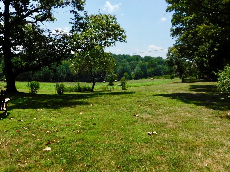 Image for Well Built 3 BR/2 BA Home on 1.7 +/- Acres in Madison County, VA