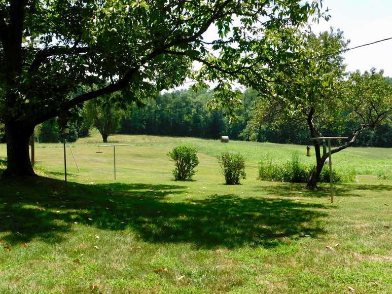 Image for Well Built 3 BR/2 BA Home on 1.7 +/- Acres in Madison County, VA