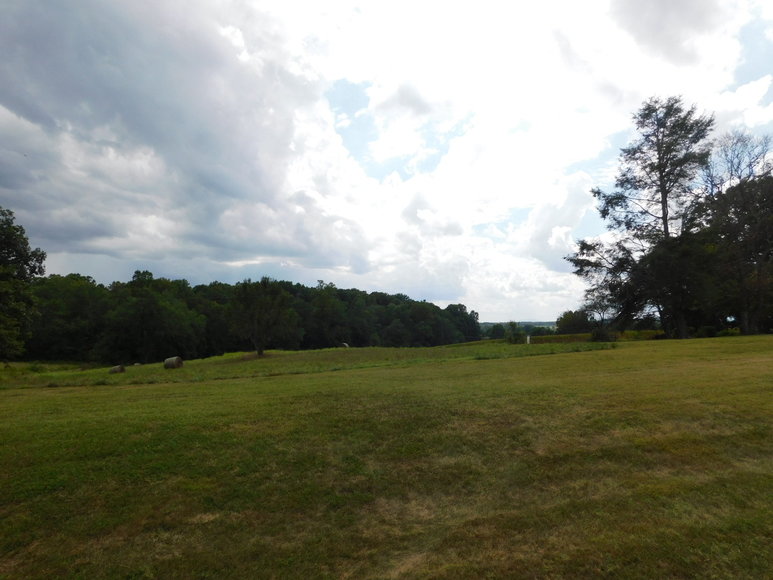 Image for 9.8 +/- Acres of Undeveloped Land in Madison County, VA