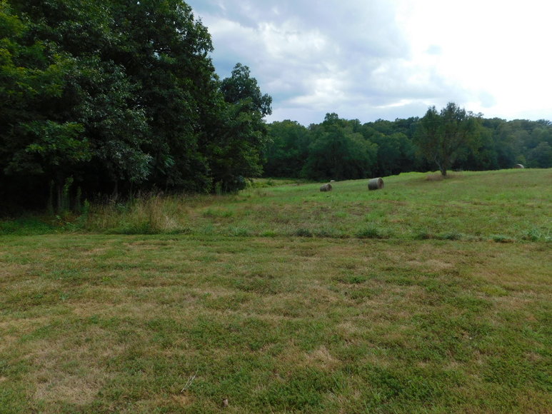 Image for 9.8 +/- Acres of Undeveloped Land in Madison County, VA