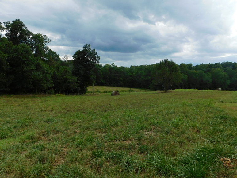 Image for 9.8 +/- Acres of Undeveloped Land in Madison County, VA