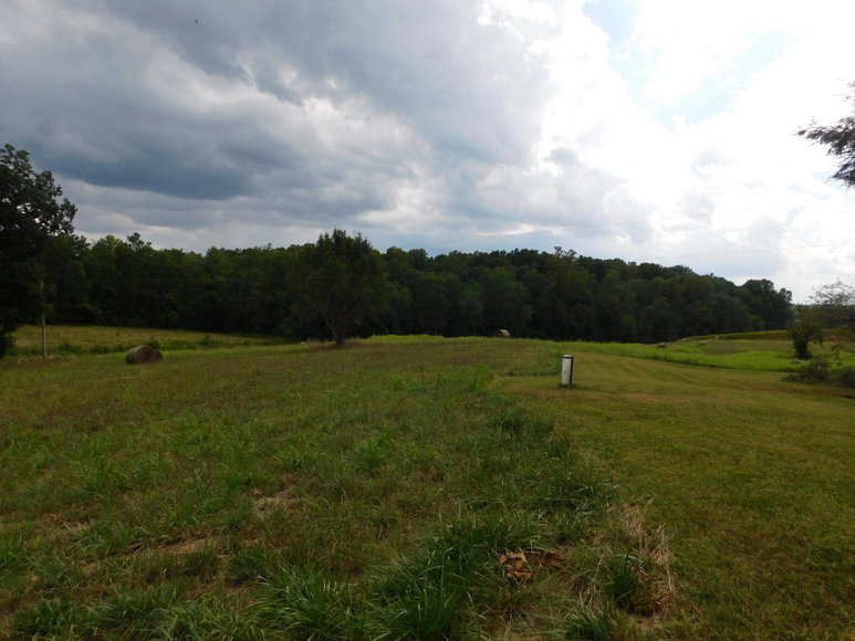 Image for 9.8 +/- Acres of Undeveloped Land in Madison County, VA