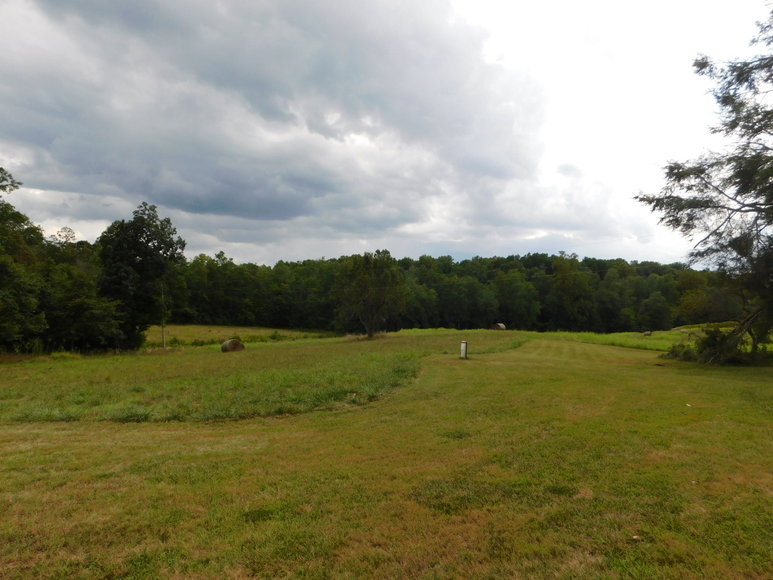 Image for 9.8 +/- Acres of Undeveloped Land in Madison County, VA